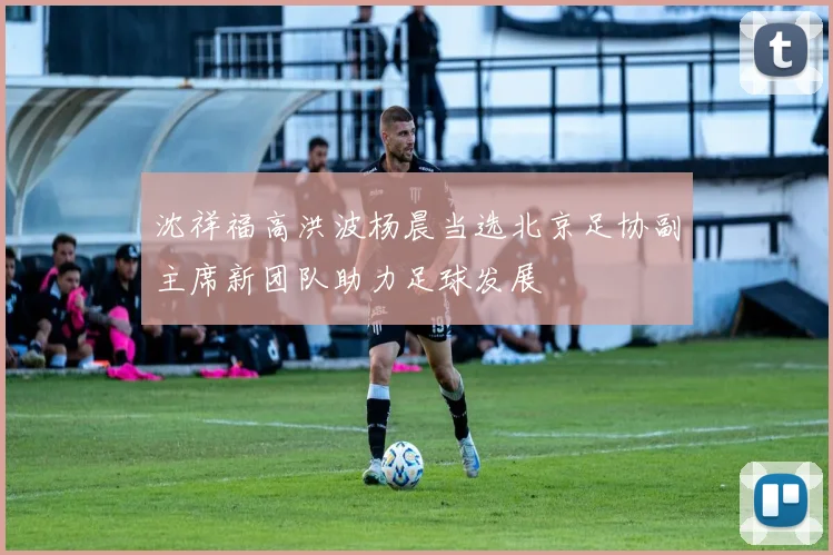 沈祥福高洪波杨晨当选北京足协副主席新团队助力足球发展